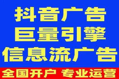 解析某某SEM服务公司的广告投放策略与效果评估